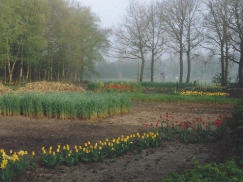 Het tuinlichaam, voorjaar 2005 (klik voor vergroting)
